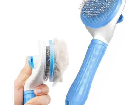 Untitled design (17)