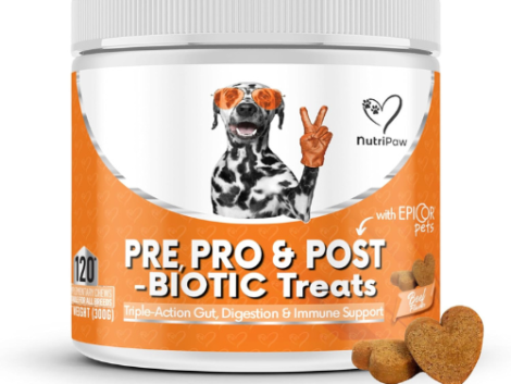 Untitled design (18)