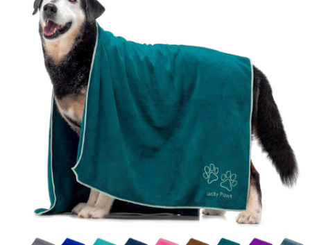 Untitled design (19)